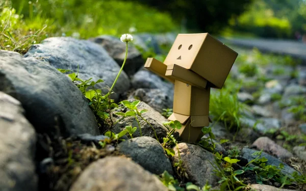 A HD desktop wallpaper featuring Danbo, a cardboard robot, reaching towards a single white flower among green plants and rocks with a blurred natural background.