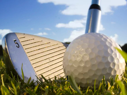  golf ball