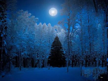 HD desktop wallpaper featuring a snowy winter forest with a prominent Christmas tree under a bright moon in a blue-toned setting.