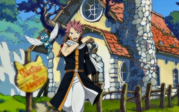 Anime Fairy Tail Natsu Dragneel Happy HD Wallpaper | Background Image