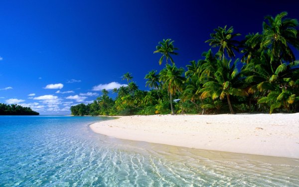 Earth Beach Sand Tropics Sky Palm Tree HD Wallpaper | Background Image