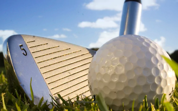  golf ball