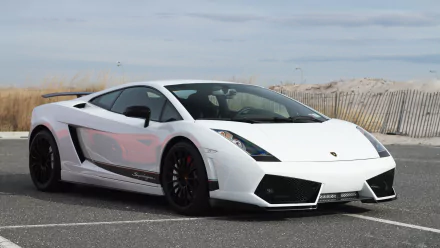 White Lamborghini Gallardo Superleggera parked outdoors, showcased in a sharp 4K Ultra HD wallpaper quality image.