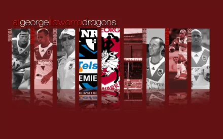st george illawarra dragons Sports HD Desktop Wallpaper | Background Image