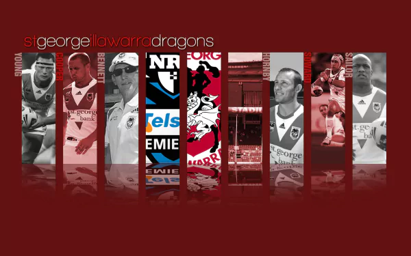 st george illawarra dragons Sports HD Desktop Wallpaper | Background Image
