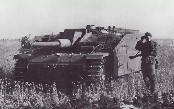 Black-and-white HD military desktop wallpaper showing a tank in a field with a soldier standing beside it, capturing a wartime scene.