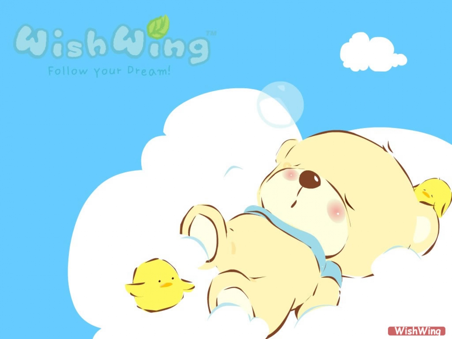 Products WishWing Bear HD Wallpaper | Background Image
