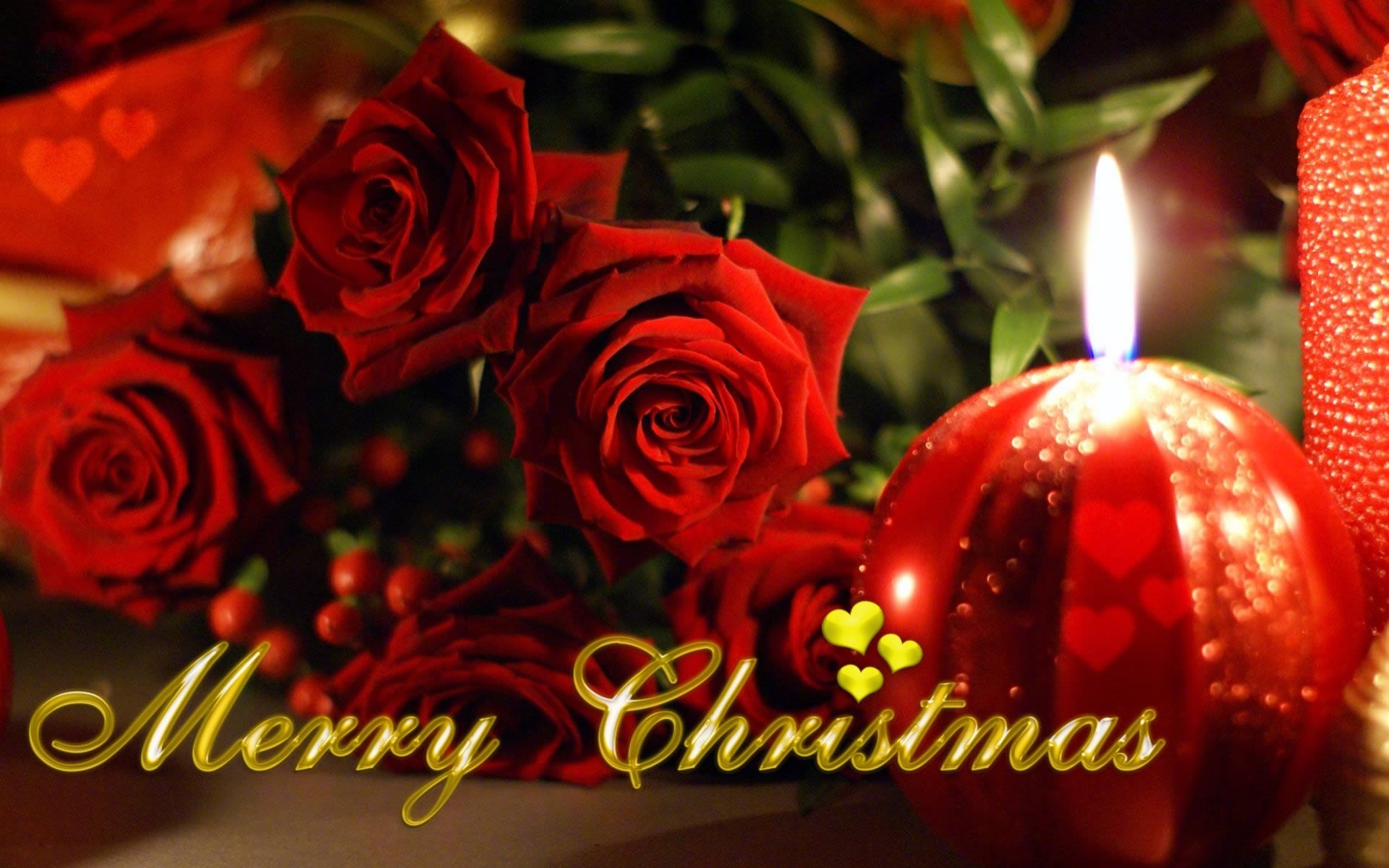 Elegant Red Roses and Candlelight: A Merry Christmas Holiday HD Wallpaper