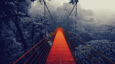 HD wallpaper of a red suspension bridge enveloped in mist, stretching into a lush, foggy forest.