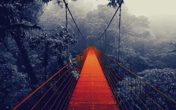 HD wallpaper of a red suspension bridge enveloped in mist, stretching into a lush, foggy forest.