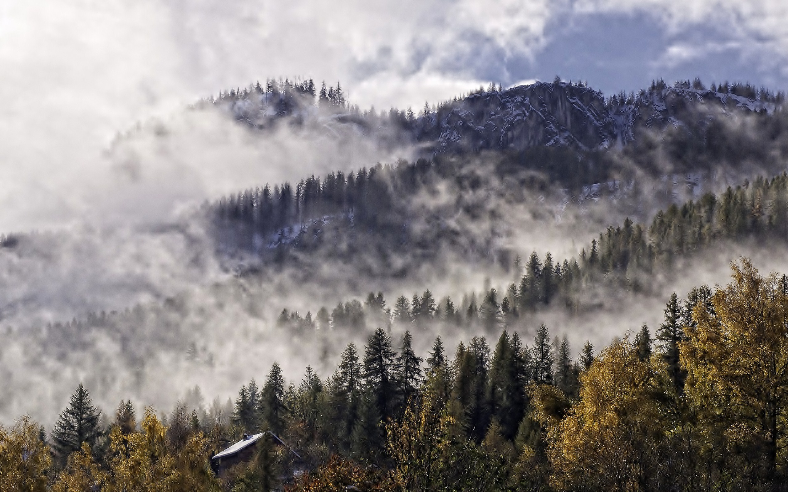 HD Wallpaper of Enchanting Forests and Misty Mountains