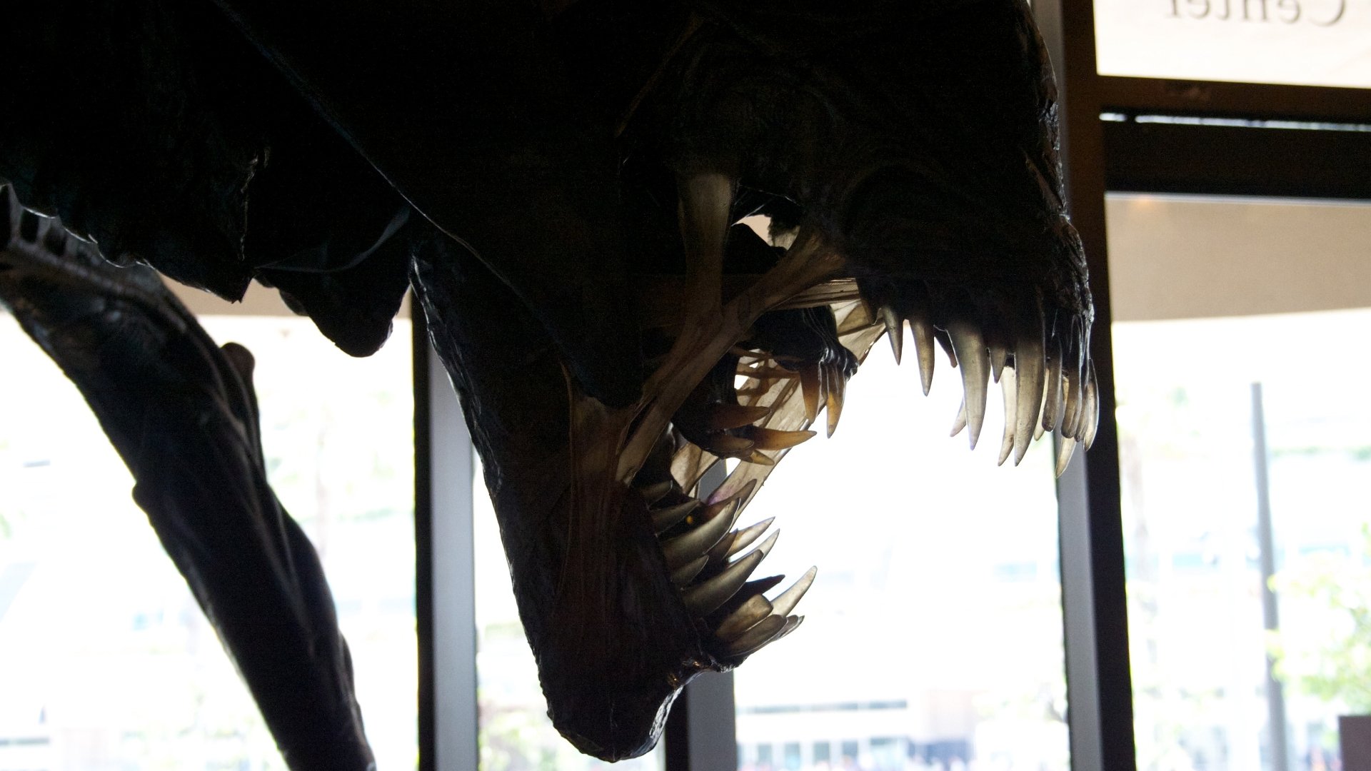 Download Sci Fi Alien 4k Ultra HD Wallpaper