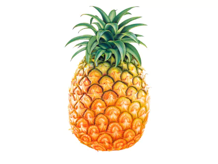 HD PC desktop wallpaper featuring a vibrant, detailed close-up of a ripe pineapple against a white background.