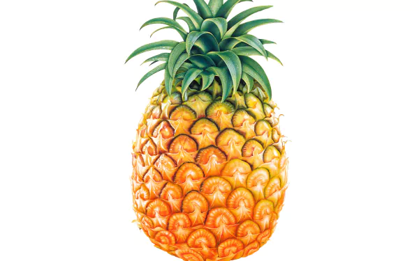 food pineapple HD Desktop Wallpaper | Background Image