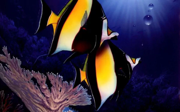 fish Animal angelfish HD Desktop Wallpaper | Background Image