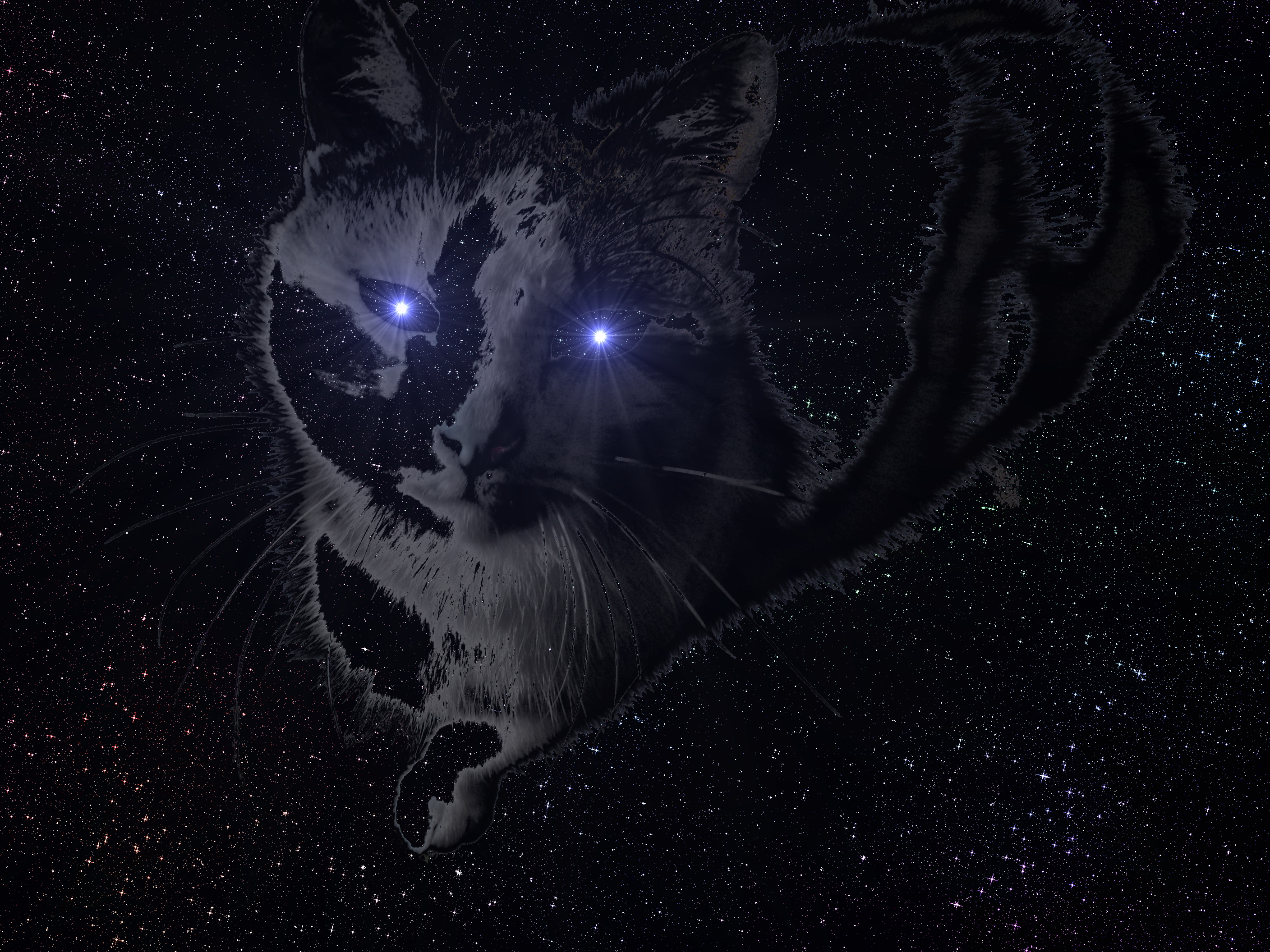 space cat HD Wallpaper | Background Image | 2816x2112 | ID:474379