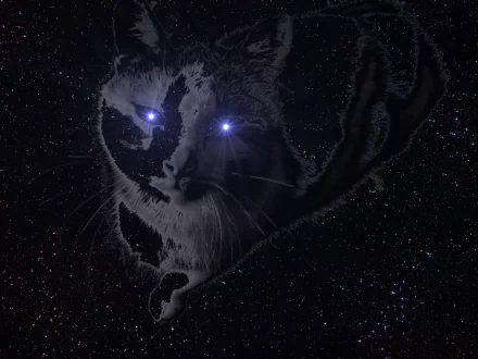 A striking artistic HD wallpaper featuring a cat with glowing blue eyes, set against a cosmic background, blending sci-fi elements with feline mystique.