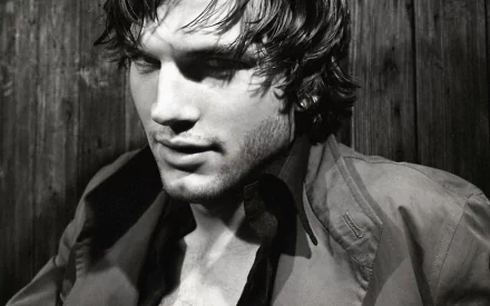 Celebrity Ashton Kutcher HD Desktop Wallpaper | Background Image