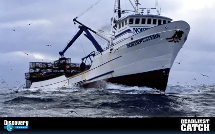 TV Show deadliest catch HD Desktop Wallpaper | Background Image