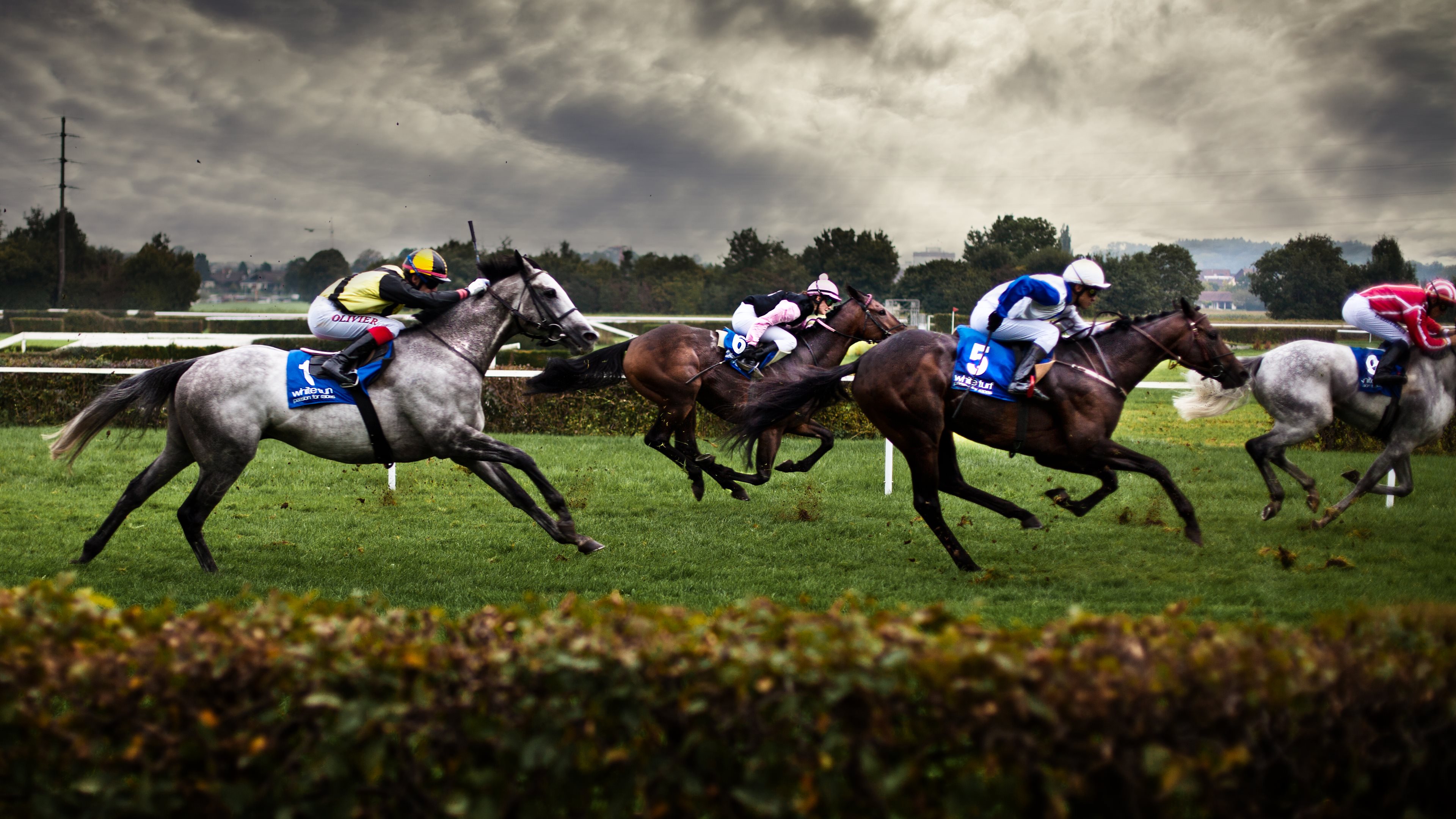 Horse racing 1080P 2K 4K 5K HD wallpapers free download  Wallpaper Flare