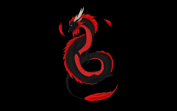 Fantasy red-and-black feathered dragon coiled into an S with floating red plumes on black — 8K Ultra HD PC desktop wallpaper and background.