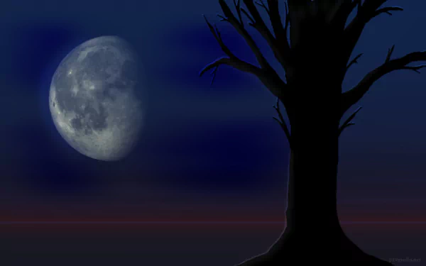  Dying Tree