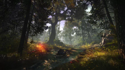 HD PC desktop wallpaper from The Witcher 2: Assassins of Kings — a misty, sunlit forest path with towering trees, dappled light, and glowing undergrowth.