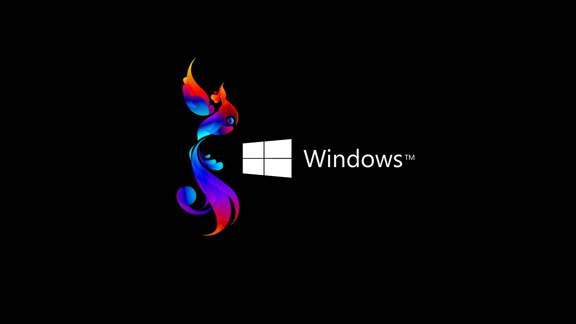 170 Windows 8 高清壁纸 桌面背景