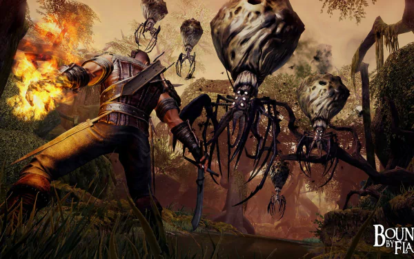 video game Bound by Flame HD Desktop Wallpaper | Background Image