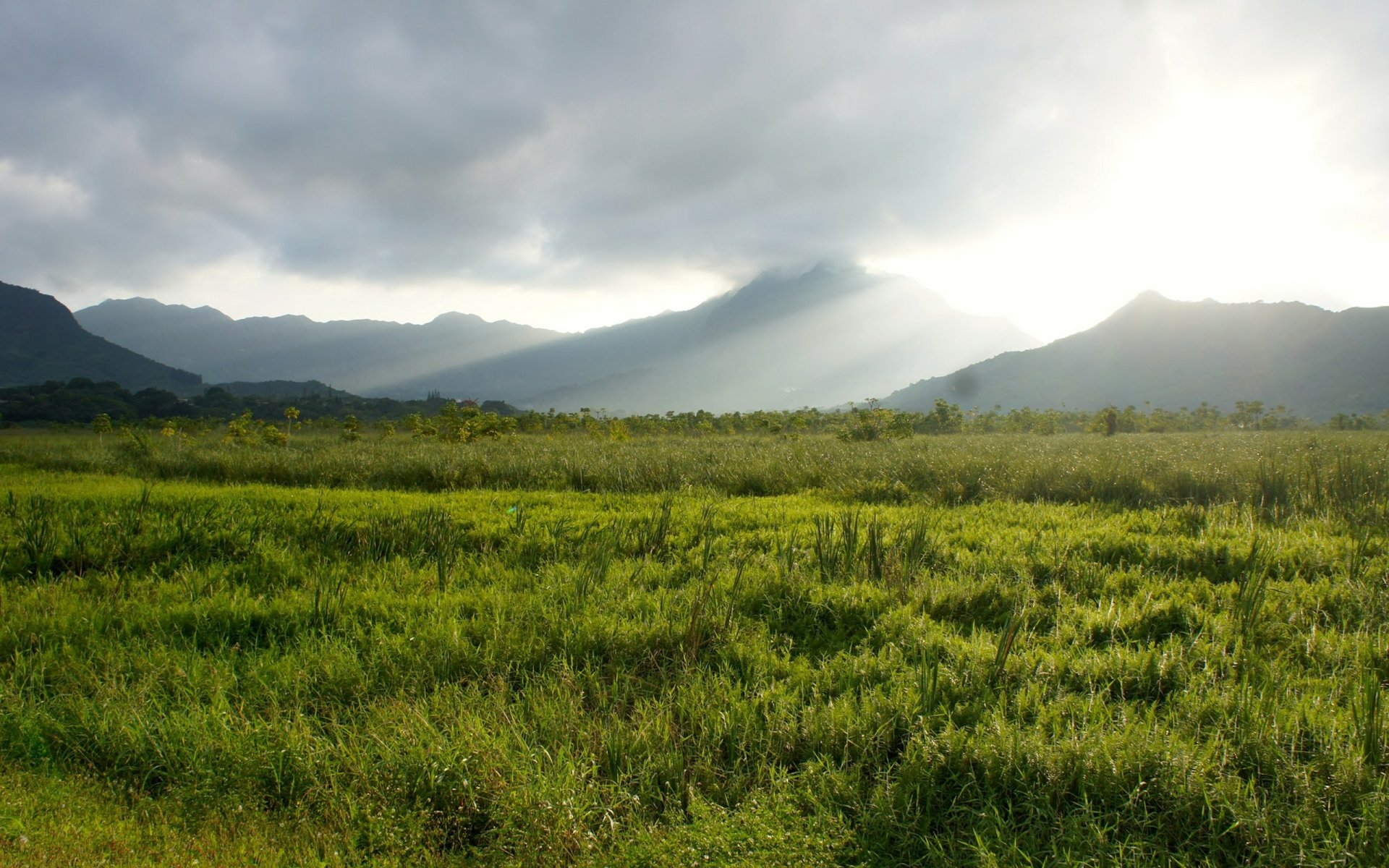 Download Nature Mountain HD Wallpaper