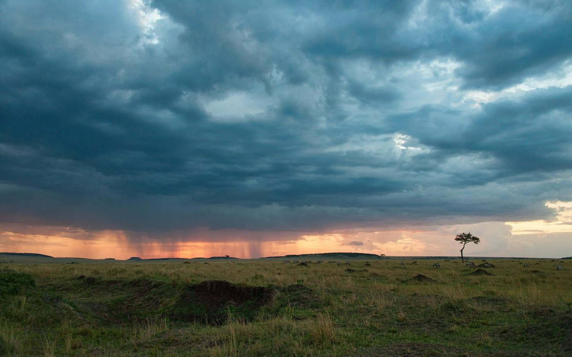 Download Nature Storm HD Wallpaper