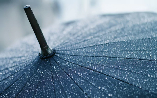 HD wallpaper of a close-up view of a wet umbrella with water droplets, conveying a sense of calmness and protection.