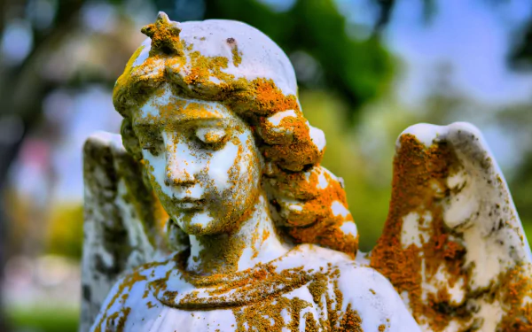 man made angel statue HD Desktop Wallpaper | Background Image