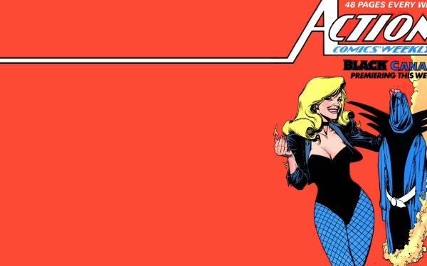 Comics Action Comics Black Canary HD Wallpaper | Background Image