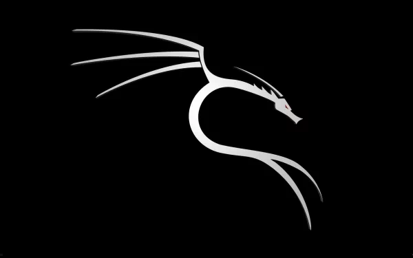 HD desktop wallpaper featuring the Kali Linux logo, a sleek silver dragon on a black background, symbolizing technology and hacker culture.