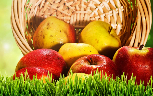 HD desktop wallpaper featuring a close-up of fresh red and yellow apples spilling from a wicker basket onto vibrant green grass.