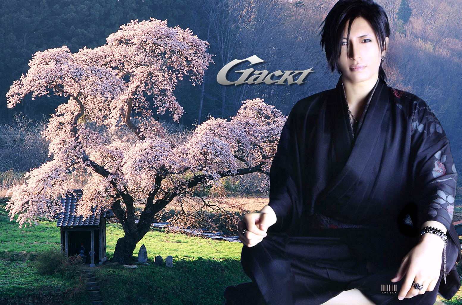 Gackt x Nemuri Project Desktop by Angry_Go