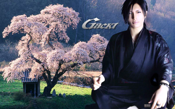  Gackt x Nemuri Project Desktop by Angry_Go