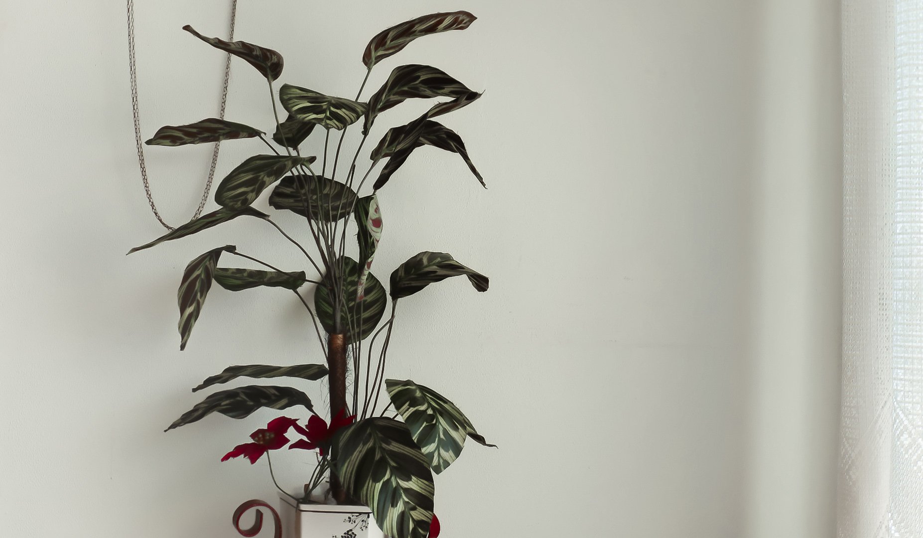 Adorno Vegetal by egcastillo67