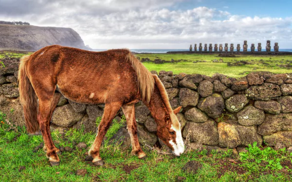 man made ahu tongariki HD Desktop Wallpaper | Background Image