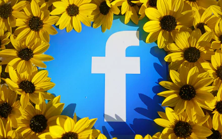 A vibrant HD desktop wallpaper featuring the Facebook logo surrounded by cheerful yellow sunflowers, blending technology and nature in a striking design.