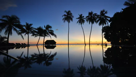 A serene sunset over a tranquil pool, featuring silhouetted palm trees reflecting on the water's surface, creating a striking HD wallpaper and background.