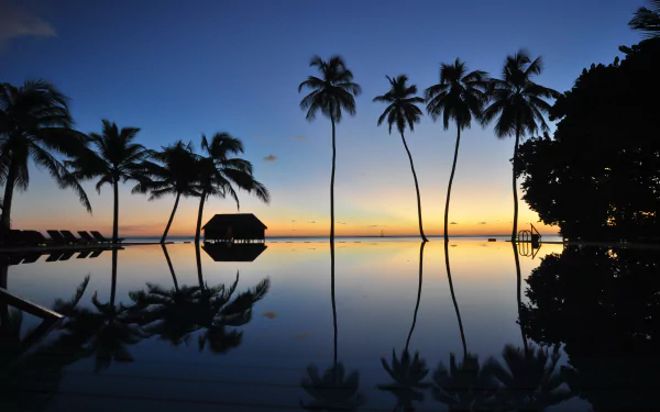 A serene sunset over a tranquil pool, featuring silhouetted palm trees reflecting on the water's surface, creating a striking HD wallpaper and background.