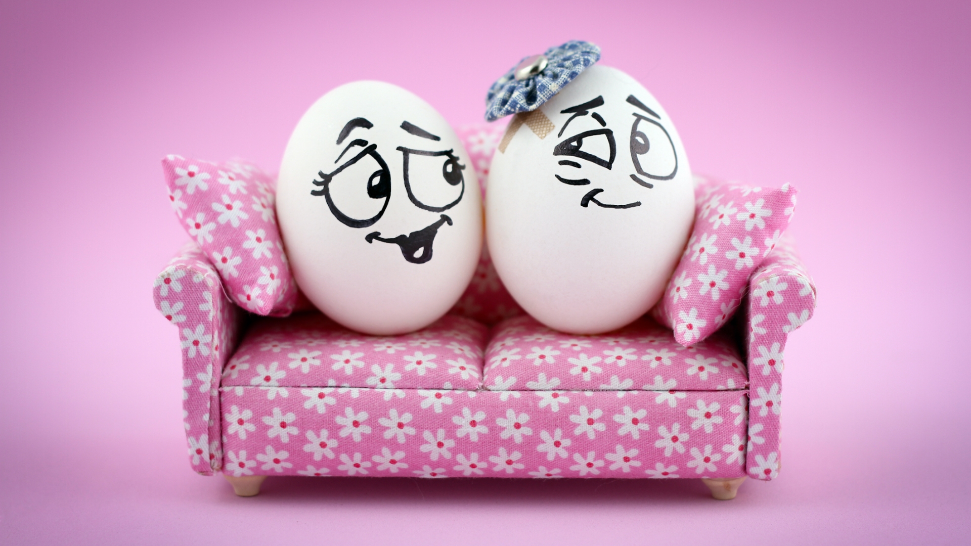 Humor Egg HD Wallpaper | Background Image