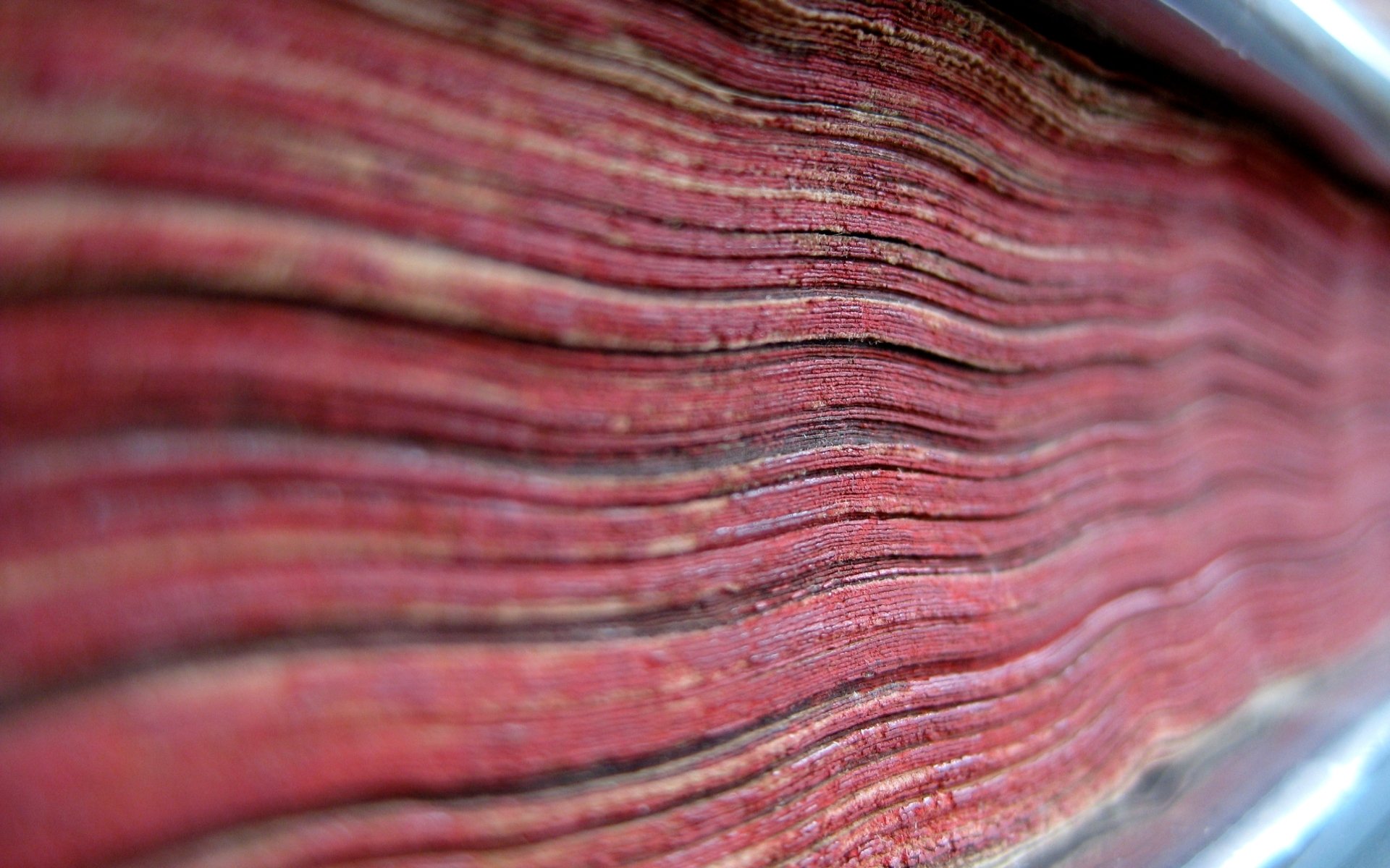 Download Religious Bible HD Wallpaper