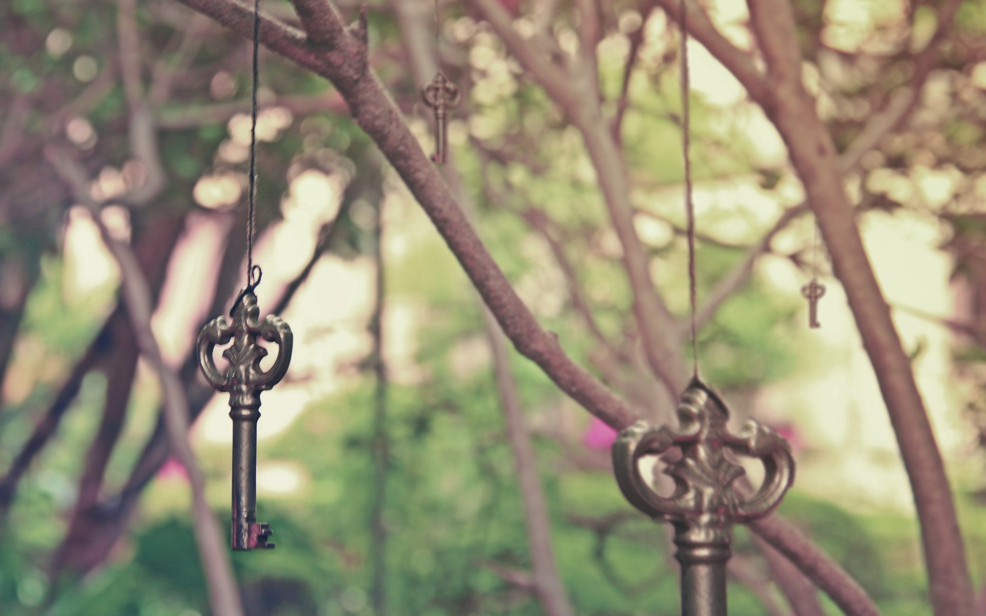 Download Man Made Key HD Wallpaper