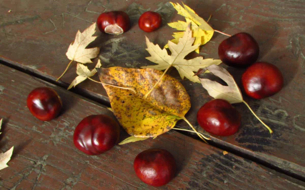 HD desktop wallpaper featuring nature-themed chestnuts and autumn leaves arranged on a rustic wooden surface.