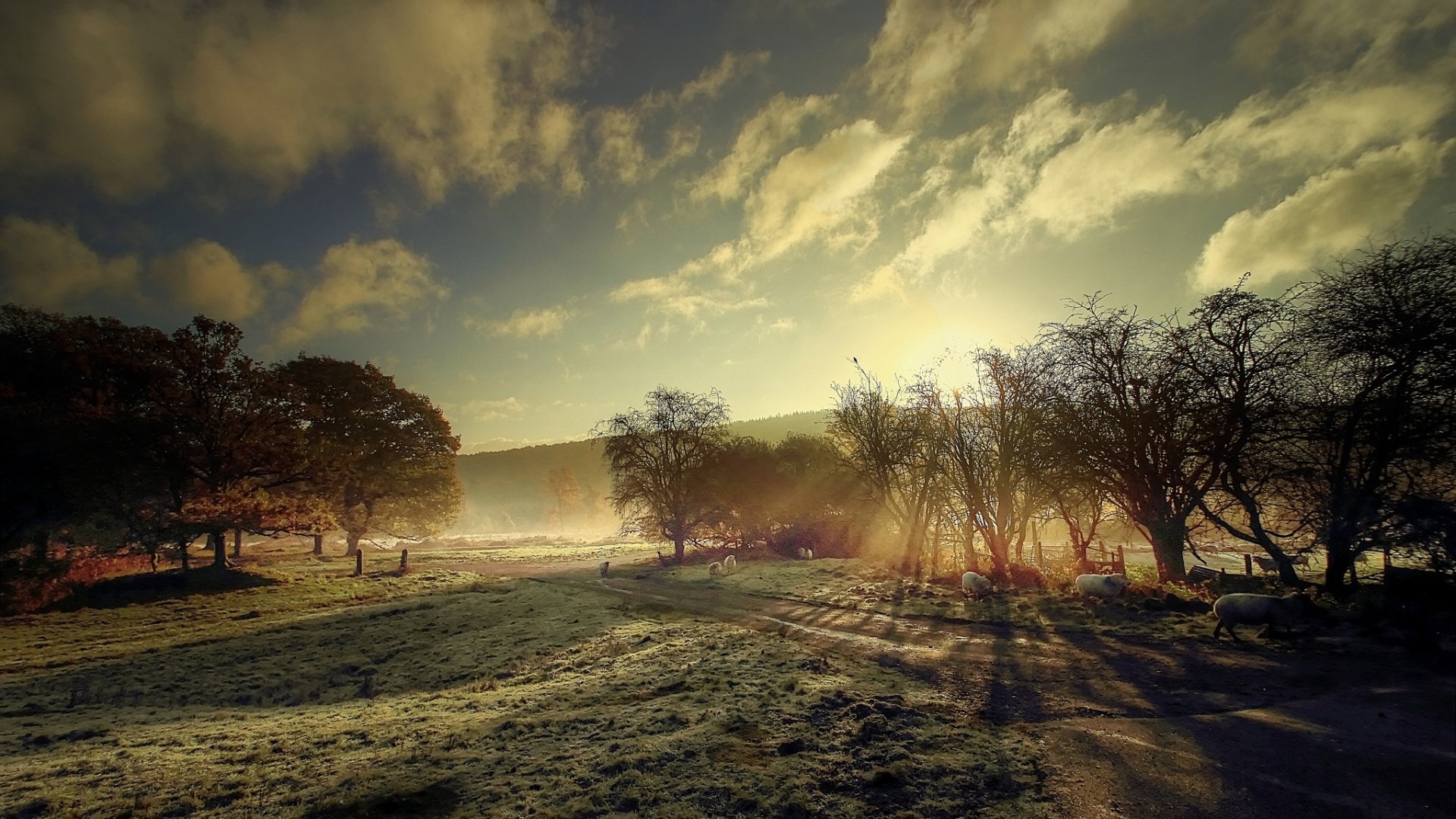HD PC desktop wallpaper — nature scene with sunbeam rays breaking through clouds onto a frosted meadow and trees, casting long, dramatic shadows.