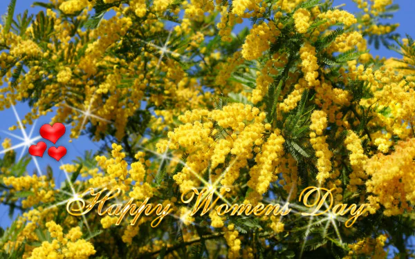 HD desktop wallpaper featuring vibrant yellow mimosa flowers under a clear blue sky with sparkling effects and Happy Women's Day text, celebrating the holiday.