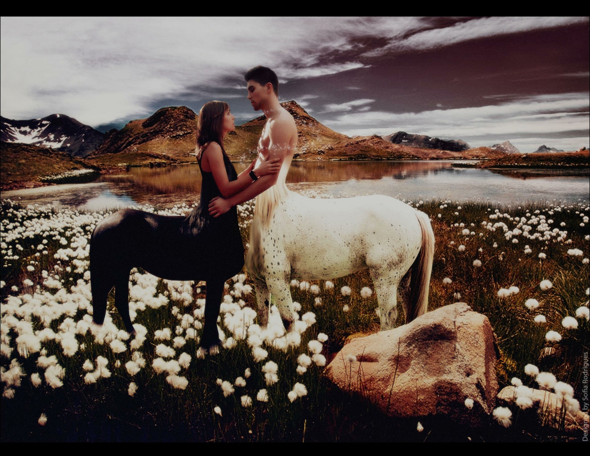 A fantasy HD PC desktop wallpaper featuring a romantic scene with a black-centaur woman and a white-centaur man standing in a field of white flowers by a lake.